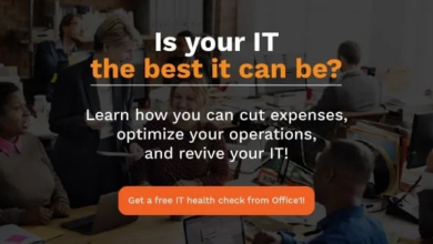 Automated Malware Analysis: What is it?