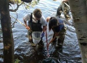 Dragonfly Mercury Project Receives Multiple Grants
