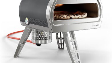 Gozney Roccbox Portable Pizza Oven review