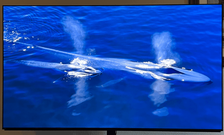 31 Best Early Labor Day Sales on WIRED-Tested Gear (2025)