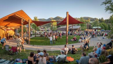 Paul Allen family gifting M to 930 arts and culture organizations in Washington state