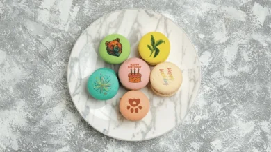 Portable EdiBot Food Printer Images on Your Cookies, Cakes, and Coffee