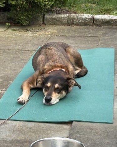 Google upgrades Gemini image editing with ‘nano banana’ model Google upgrades Gemini image editing with ‘nano banana’ model