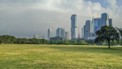 Austin Wallpaper – wallpapers